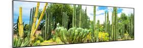 ¡Viva Mexico! Panoramic Collection - Cardon Cactus III-Philippe Hugonnard-Mounted Photographic Print