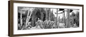 ¡Viva Mexico! Panoramic Collection - Cardon Cactus IV-Philippe Hugonnard-Framed Photographic Print