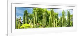 ¡Viva Mexico! Panoramic Collection - Cardon Cactus-Philippe Hugonnard-Framed Photographic Print