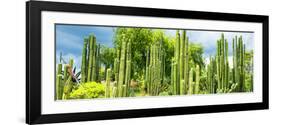 ¡Viva Mexico! Panoramic Collection - Cardon Cactus-Philippe Hugonnard-Framed Photographic Print