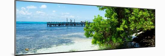 ¡Viva Mexico! Panoramic Collection - Caribbean Coastline III-Philippe Hugonnard-Mounted Photographic Print