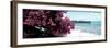 ¡Viva Mexico! Panoramic Collection - Caribbean Coastline IV-Philippe Hugonnard-Framed Photographic Print