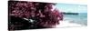 ¡Viva Mexico! Panoramic Collection - Caribbean Coastline IV-Philippe Hugonnard-Stretched Canvas