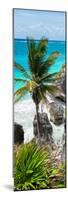 ¡Viva Mexico! Panoramic Collection - Caribbean Coastline - Tulum IX-Philippe Hugonnard-Mounted Photographic Print