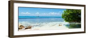 ¡Viva Mexico! Panoramic Collection - Caribbean Coastline-Philippe Hugonnard-Framed Photographic Print