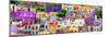 ¡Viva Mexico! Panoramic Collection - Colorful Cityscape Guanajuato XII-Philippe Hugonnard-Mounted Photographic Print