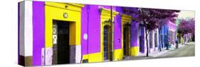 ¡Viva Mexico! Panoramic Collection - Colorful Street in Oaxaca I-Philippe Hugonnard-Stretched Canvas