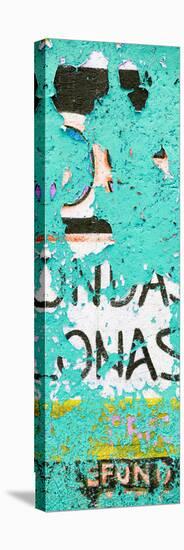 ¡Viva Mexico! Panoramic Collection - Coral Green Street Wall Art-Philippe Hugonnard-Stretched Canvas