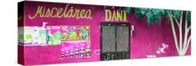 ¡Viva Mexico! Panoramic Collection - Deep Pink Dani Supermarket-Philippe Hugonnard-Stretched Canvas