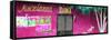 ¡Viva Mexico! Panoramic Collection - Deep Pink Dani Supermarket-Philippe Hugonnard-Framed Stretched Canvas