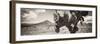 ¡Viva Mexico! Panoramic Collection - Desert Cactus I-Philippe Hugonnard-Framed Photographic Print