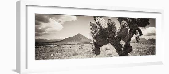 ¡Viva Mexico! Panoramic Collection - Desert Cactus I-Philippe Hugonnard-Framed Photographic Print