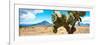 ¡Viva Mexico! Panoramic Collection - Desert Cactus II-Philippe Hugonnard-Framed Photographic Print