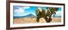 ¡Viva Mexico! Panoramic Collection - Desert Cactus II-Philippe Hugonnard-Framed Photographic Print
