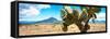 ¡Viva Mexico! Panoramic Collection - Desert Cactus II-Philippe Hugonnard-Framed Stretched Canvas