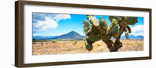 ¡Viva Mexico! Panoramic Collection - Desert Cactus II-Philippe Hugonnard-Framed Photographic Print