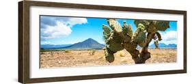 ¡Viva Mexico! Panoramic Collection - Desert Cactus II-Philippe Hugonnard-Framed Photographic Print