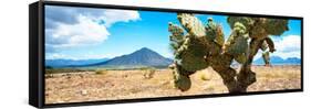 ¡Viva Mexico! Panoramic Collection - Desert Cactus II-Philippe Hugonnard-Framed Stretched Canvas
