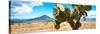 ¡Viva Mexico! Panoramic Collection - Desert Cactus II-Philippe Hugonnard-Stretched Canvas