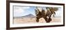 ¡Viva Mexico! Panoramic Collection - Desert Cactus III-Philippe Hugonnard-Framed Photographic Print