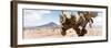 ¡Viva Mexico! Panoramic Collection - Desert Cactus III-Philippe Hugonnard-Framed Photographic Print