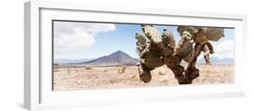 ¡Viva Mexico! Panoramic Collection - Desert Cactus III-Philippe Hugonnard-Framed Photographic Print