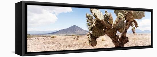 ¡Viva Mexico! Panoramic Collection - Desert Cactus III-Philippe Hugonnard-Framed Stretched Canvas