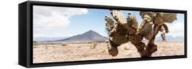 ¡Viva Mexico! Panoramic Collection - Desert Cactus III-Philippe Hugonnard-Framed Stretched Canvas