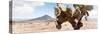 ¡Viva Mexico! Panoramic Collection - Desert Cactus III-Philippe Hugonnard-Stretched Canvas