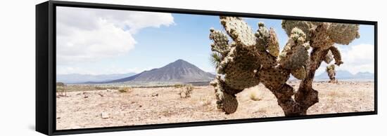 ¡Viva Mexico! Panoramic Collection - Desert Cactus III-Philippe Hugonnard-Framed Stretched Canvas