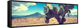 ¡Viva Mexico! Panoramic Collection - Desert Cactus IV-Philippe Hugonnard-Framed Stretched Canvas