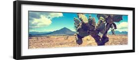 ¡Viva Mexico! Panoramic Collection - Desert Cactus IV-Philippe Hugonnard-Framed Photographic Print