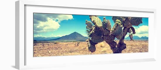 ¡Viva Mexico! Panoramic Collection - Desert Cactus IV-Philippe Hugonnard-Framed Photographic Print