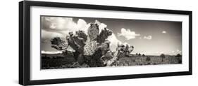 ¡Viva Mexico! Panoramic Collection - Desert Cactus V-Philippe Hugonnard-Framed Photographic Print