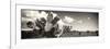 ¡Viva Mexico! Panoramic Collection - Desert Cactus V-Philippe Hugonnard-Framed Photographic Print