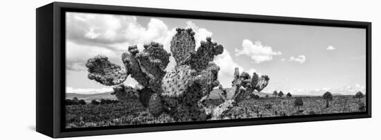 ¡Viva Mexico! Panoramic Collection - Desert Cactus VI-Philippe Hugonnard-Framed Stretched Canvas