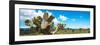 ¡Viva Mexico! Panoramic Collection - Desert Cactus VII-Philippe Hugonnard-Framed Photographic Print