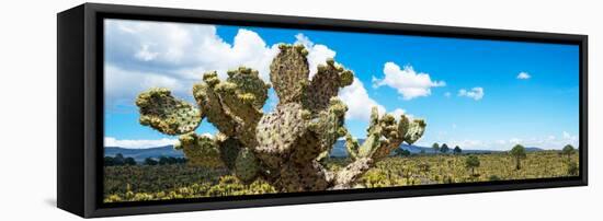 ¡Viva Mexico! Panoramic Collection - Desert Cactus VII-Philippe Hugonnard-Framed Stretched Canvas