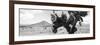 ¡Viva Mexico! Panoramic Collection - Desert Cactus-Philippe Hugonnard-Framed Photographic Print