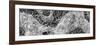 ¡Viva Mexico! Panoramic Collection - Earth from above II-Philippe Hugonnard-Framed Photographic Print