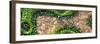 ¡Viva Mexico! Panoramic Collection - Earth from above III-Philippe Hugonnard-Framed Photographic Print