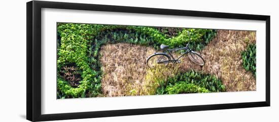 ¡Viva Mexico! Panoramic Collection - Earth from above III-Philippe Hugonnard-Framed Photographic Print