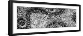 ¡Viva Mexico! Panoramic Collection - Earth from above IV-Philippe Hugonnard-Framed Photographic Print