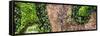 ¡Viva Mexico! Panoramic Collection - Earth from above V-Philippe Hugonnard-Framed Stretched Canvas