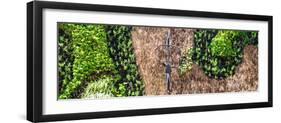 ¡Viva Mexico! Panoramic Collection - Earth from above V-Philippe Hugonnard-Framed Premium Photographic Print