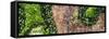 ¡Viva Mexico! Panoramic Collection - Earth from above V-Philippe Hugonnard-Framed Stretched Canvas