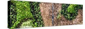¡Viva Mexico! Panoramic Collection - Earth from above V-Philippe Hugonnard-Stretched Canvas