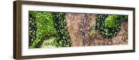 ¡Viva Mexico! Panoramic Collection - Earth from above V-Philippe Hugonnard-Framed Photographic Print