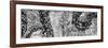 ¡Viva Mexico! Panoramic Collection - Earth from above VI-Philippe Hugonnard-Framed Photographic Print