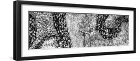 ¡Viva Mexico! Panoramic Collection - Earth from above VI-Philippe Hugonnard-Framed Photographic Print